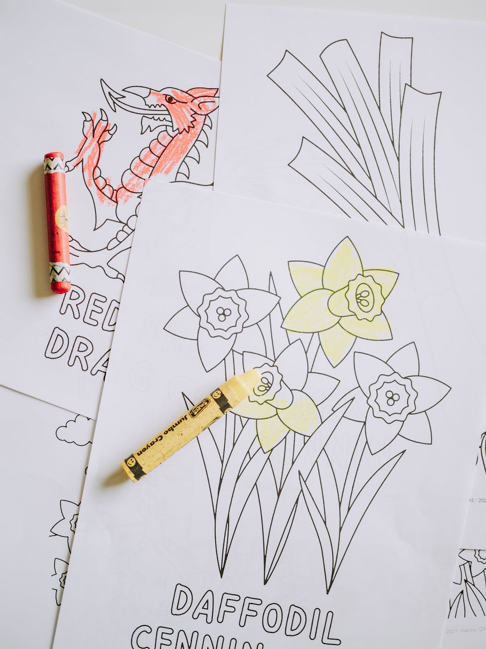 What makes a coloring page ‘good’? a peek behind the creative process