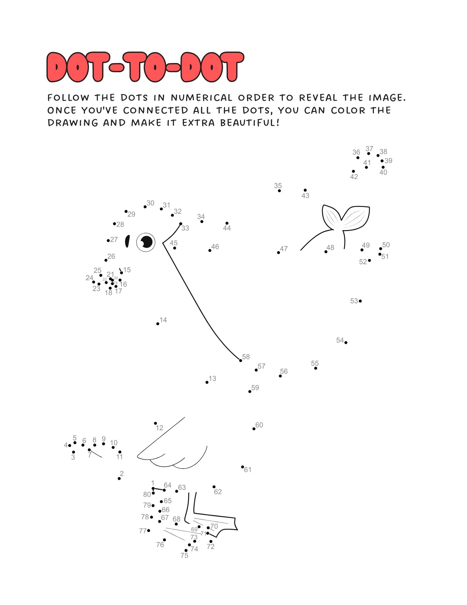 Animal Adventures - Image 2